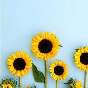 Meet your Posher, Alma